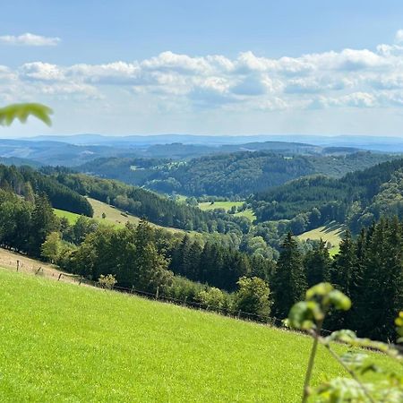 Ferienwohnung Up Willingen-Schwalefeld Willingen  Esterno foto