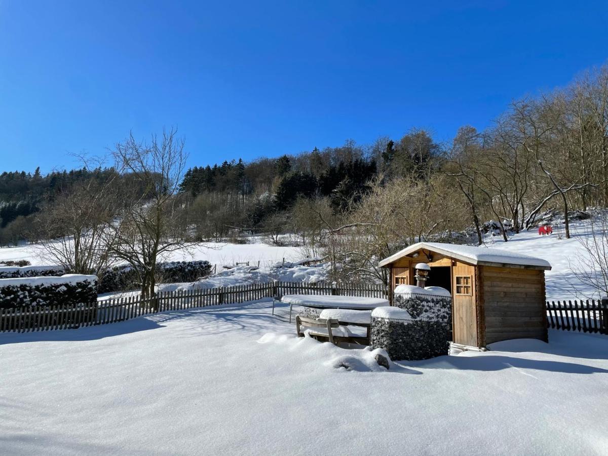 Ferienwohnung Up Willingen-Schwalefeld Willingen  Esterno foto