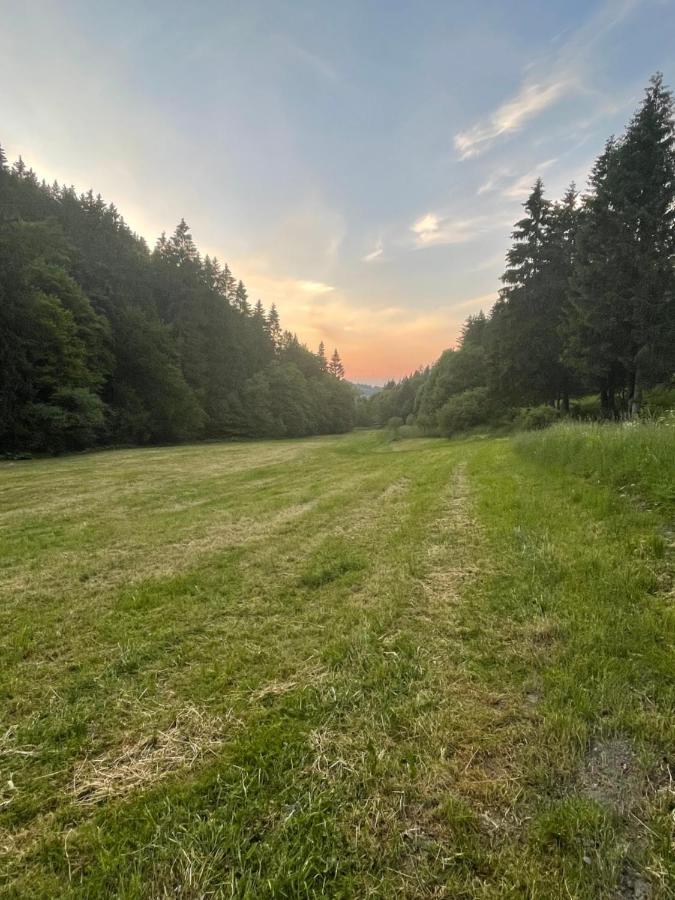 Ferienwohnung Up Willingen-Schwalefeld Willingen  Esterno foto