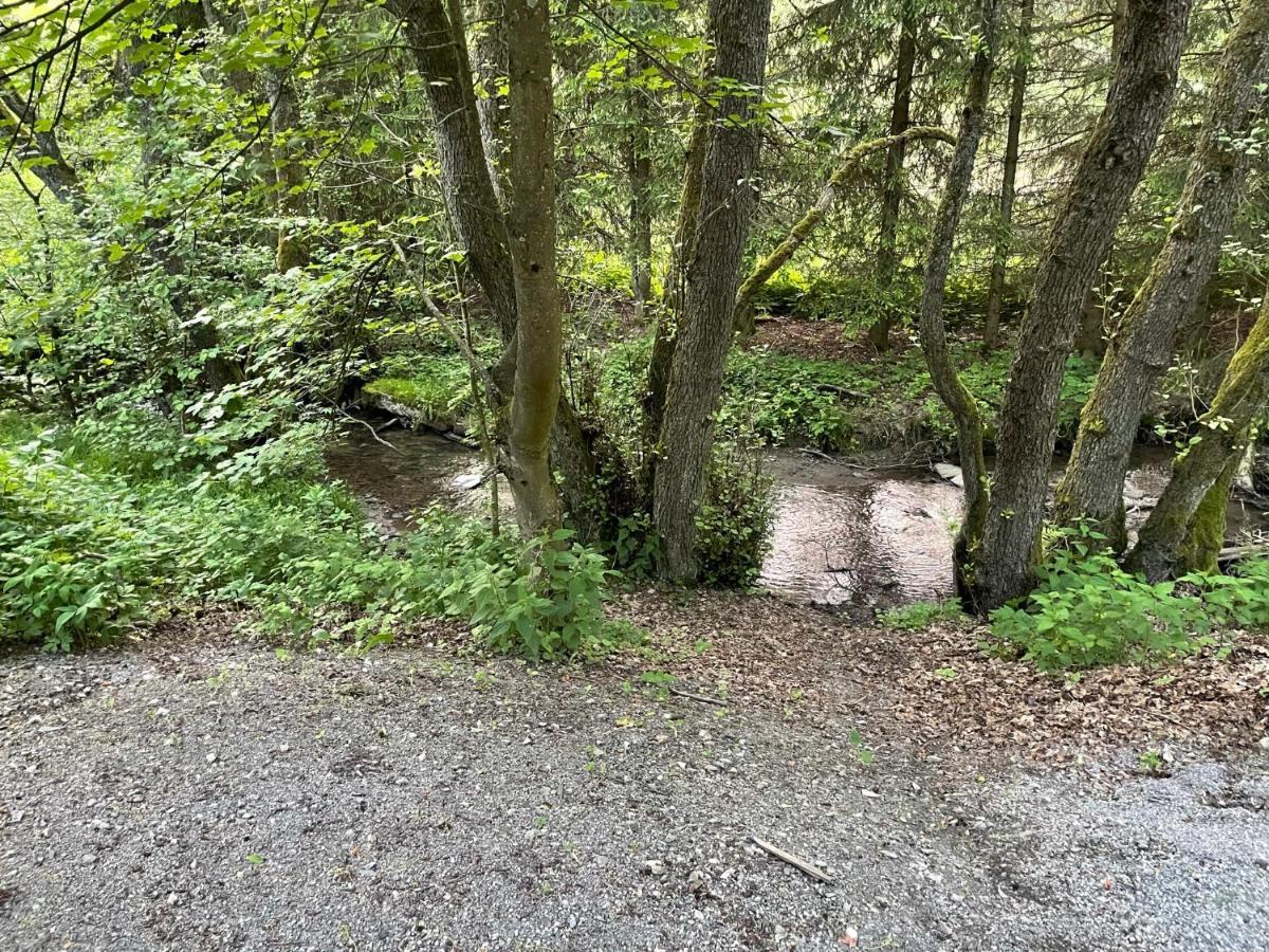 Ferienwohnung Up Willingen-Schwalefeld Willingen  Esterno foto