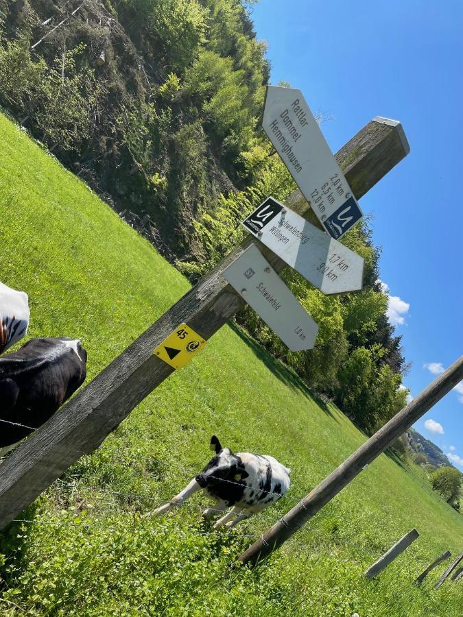 Ferienwohnung Up Willingen-Schwalefeld Willingen  Esterno foto