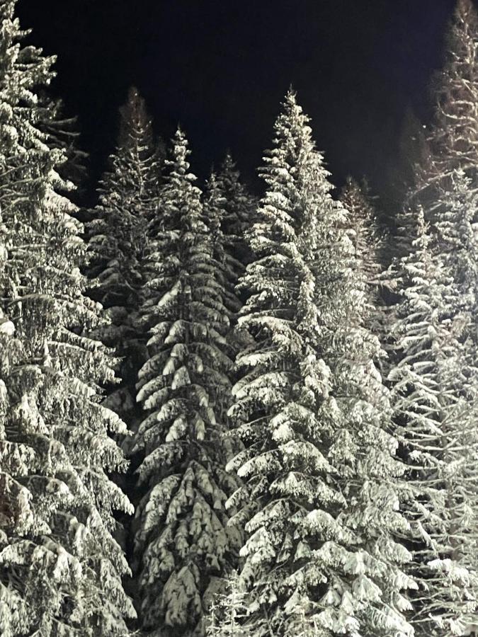 Ferienwohnung Up Willingen-Schwalefeld Willingen  Esterno foto