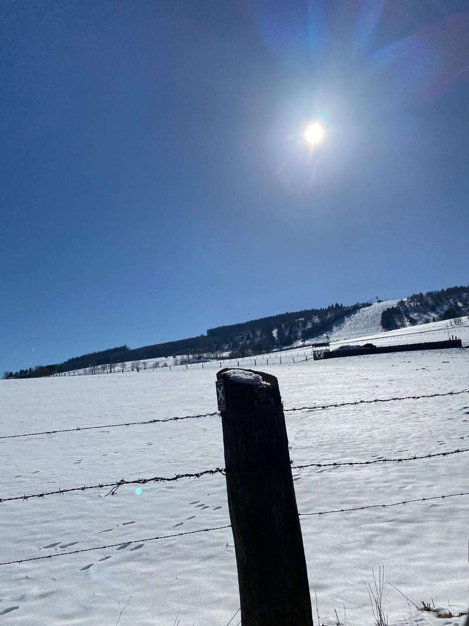 Ferienwohnung Up Willingen-Schwalefeld Willingen  Esterno foto