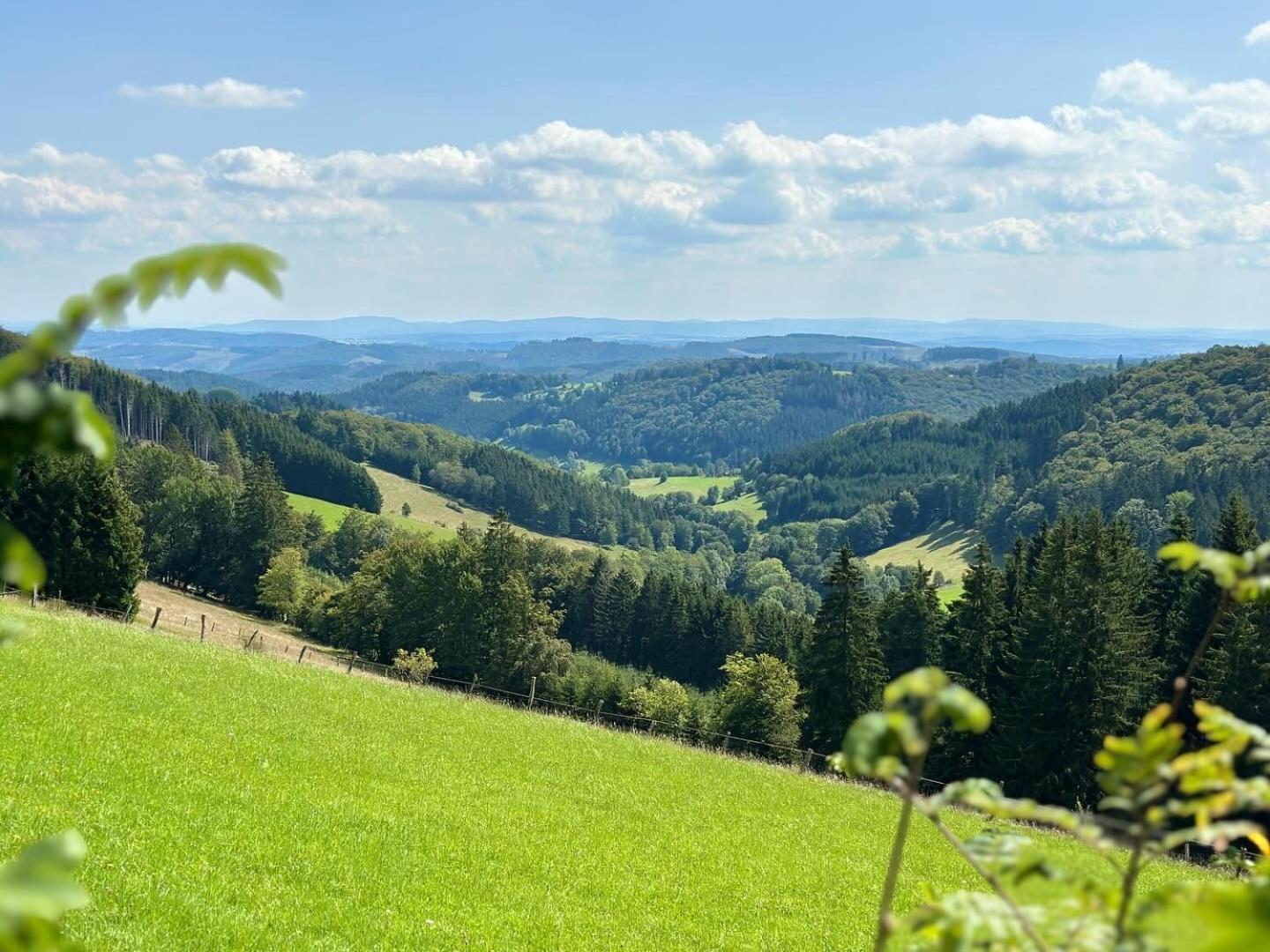 Ferienwohnung Up Willingen-Schwalefeld Willingen  Esterno foto